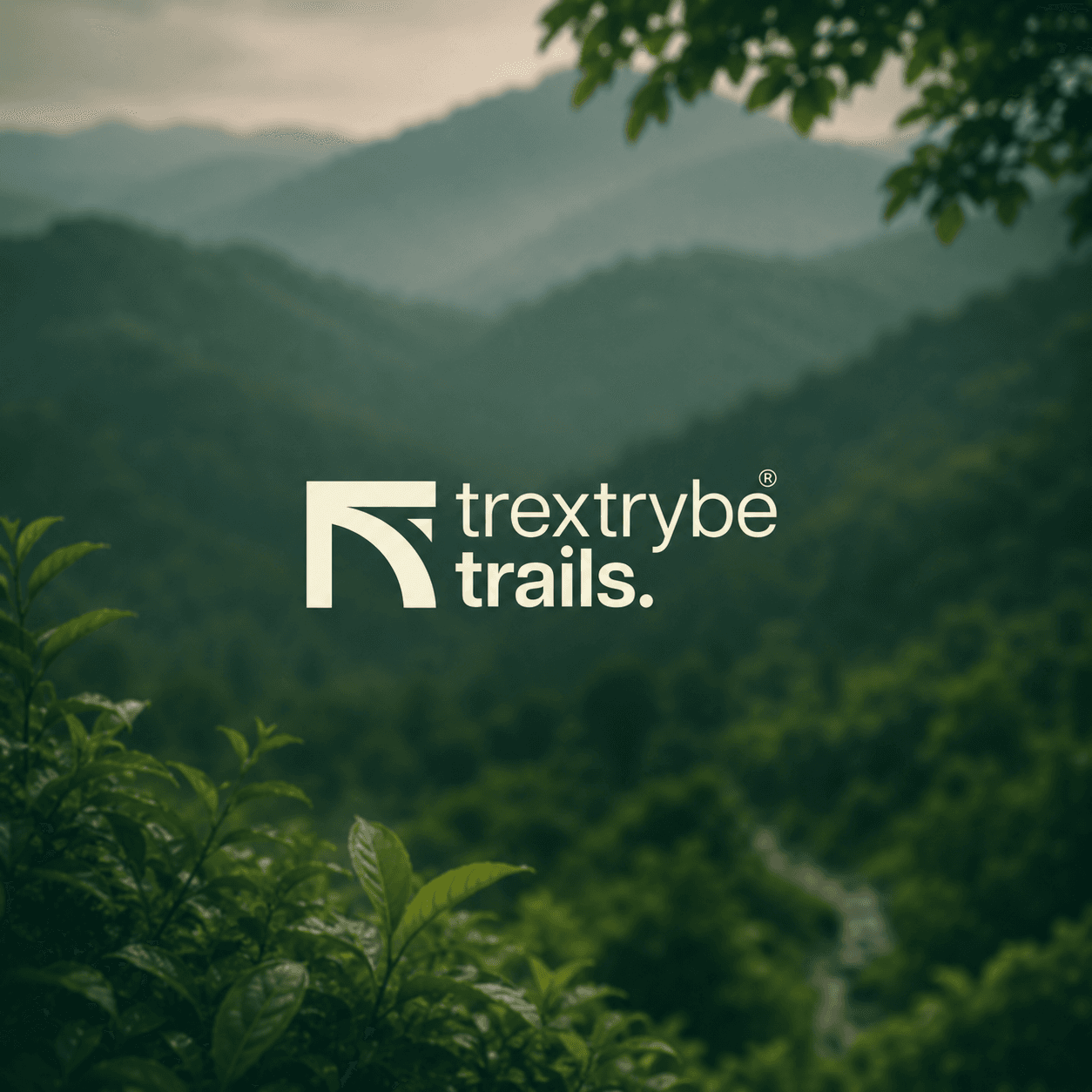 Trextrybe Trails